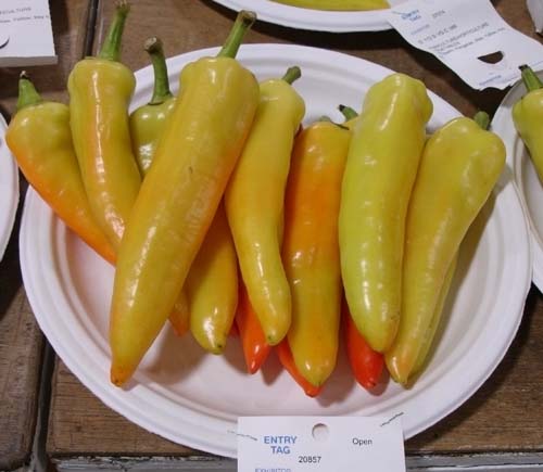peppers05015