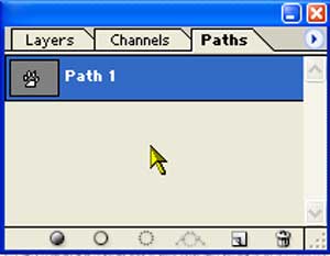 Click in the empty area beneath the path in the Paths palette, to clear the path.