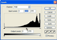 Levels adjustment