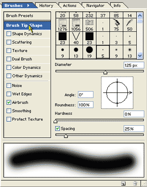 Click the words Brush Tip Shape to choose the brush tip.