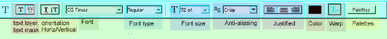 The text option bar in PS version 6